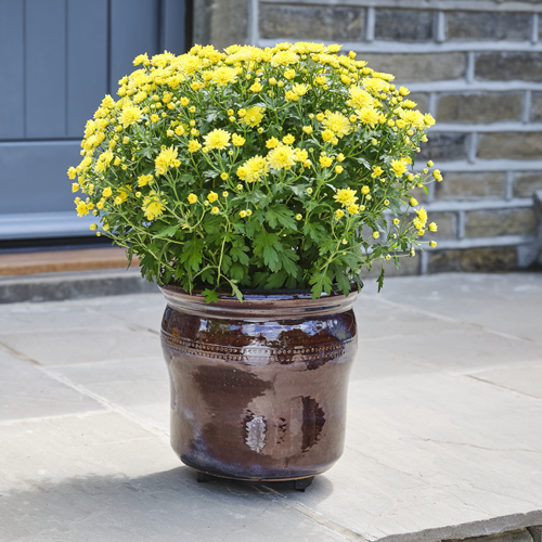 Improved Drainage with Pot Mate